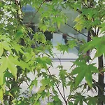 Avec Hammam - 130 M2 Et Jardin - Terre De Cocon * Perrignier